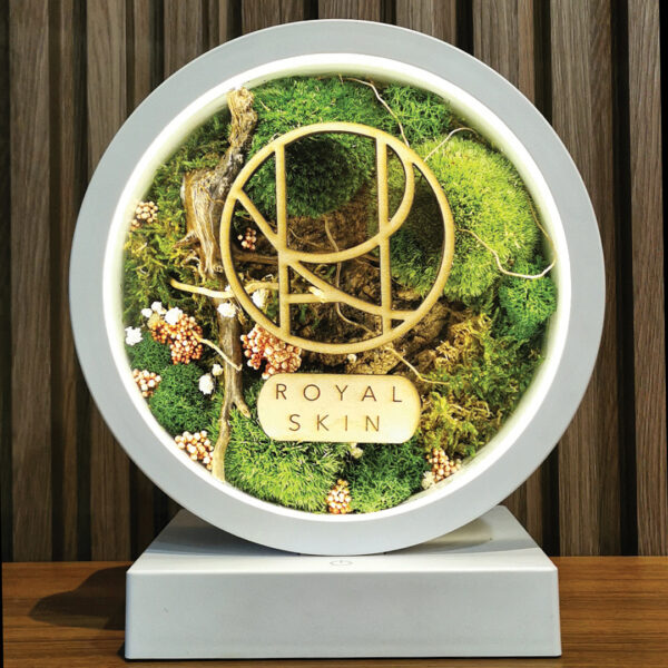 Preserved Moss Mood Lamp - Image 5