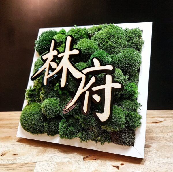 Laser Cut Chinese Text