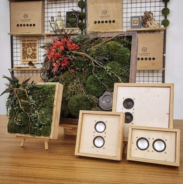 Preserved Moss Soundscape